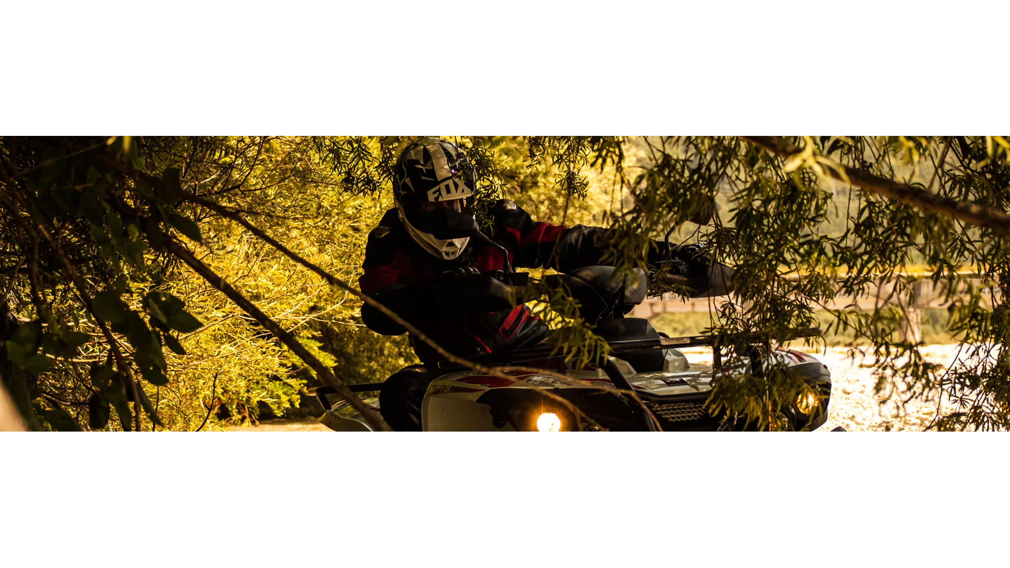 Access AMX 6.46 Basic - Image 2 Access AMX 6.46 Basic - Image 2